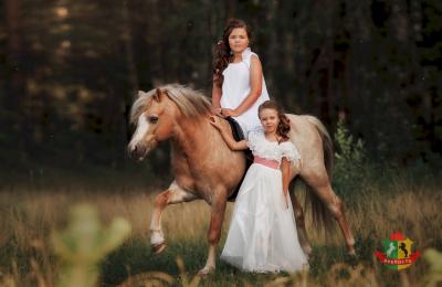 Фотосессия с лошадьми
